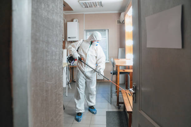 Best Air Quality Testing for Mold Spores  in Carbondale, PA